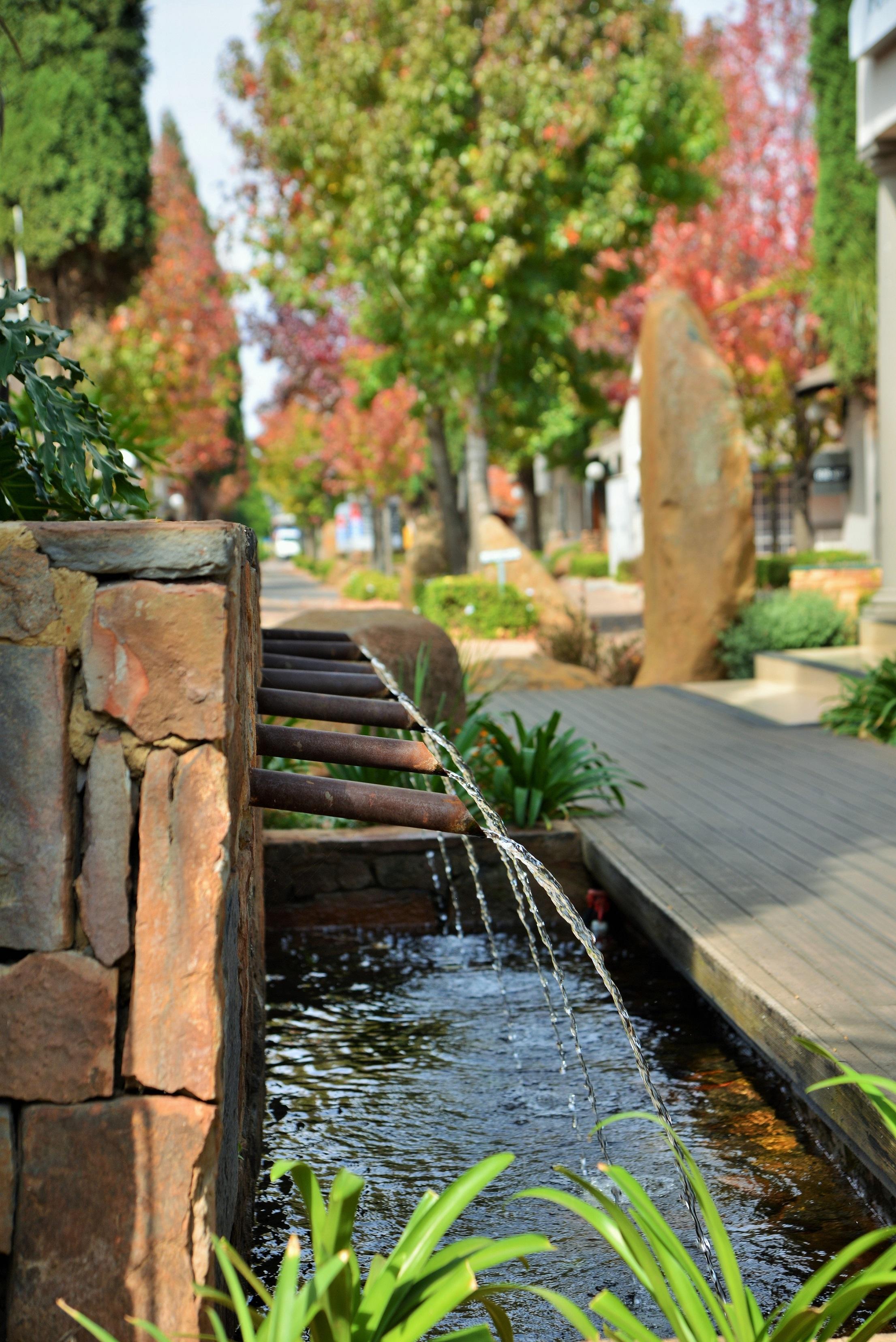 Silverbirch At Birchwood بوكسبرغ المظهر الخارجي الصورة